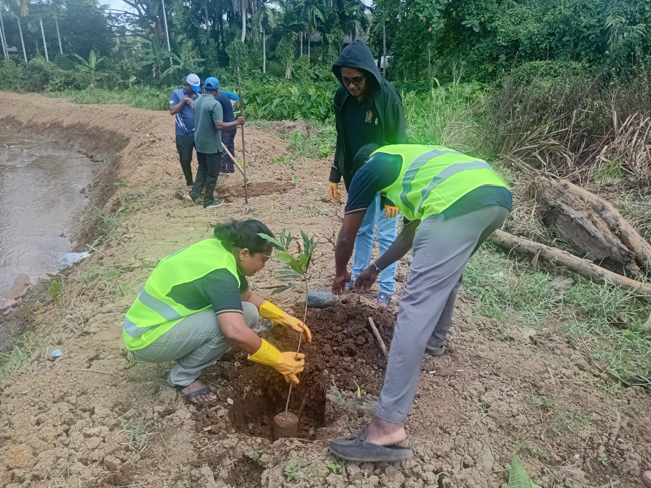 පරිසර හා රුක්රෝපණ දිනය